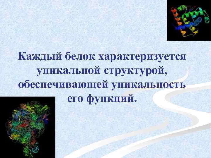 Каждый белок характеризуется уникальной структурой, обеспечивающей уникальность его функций. 