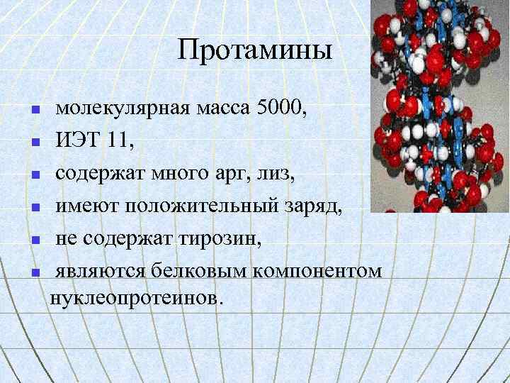 Протамины n n n молекулярная масса 5000, ИЭТ 11, содержат много арг, лиз, имеют