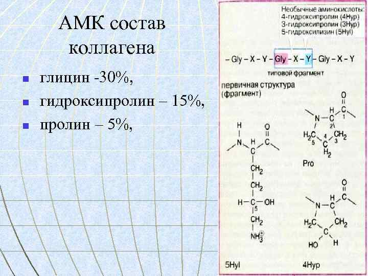 АМК состав коллагена n n n глицин -30%, гидроксипролин – 15%, пролин – 5%,