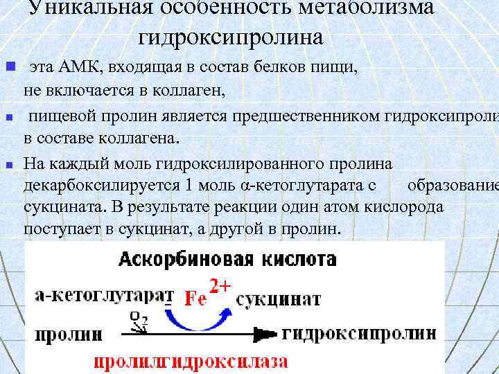 Уникальная особенность метаболизма гидроксипролина n эта АМК, входящая в состав белков пищи, n n