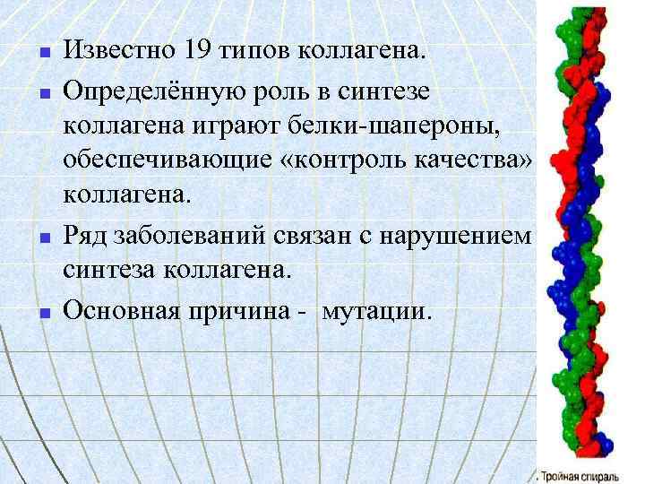 n n Известно 19 типов коллагена. Определённую роль в синтезе коллагена играют белки-шапероны, обеспечивающие