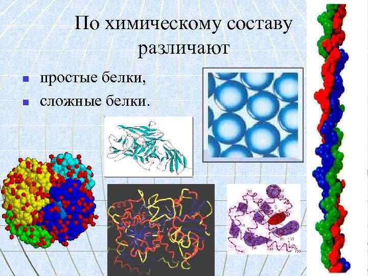 По химическому составу различают n n простые белки, сложные белки. 