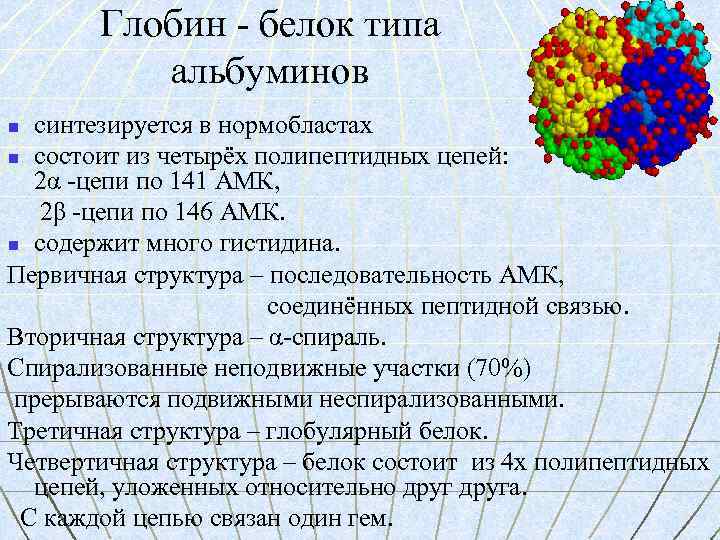 Глобин - белок типа альбуминов синтезируется в нормобластах n состоит из четырёх полипептидных цепей: