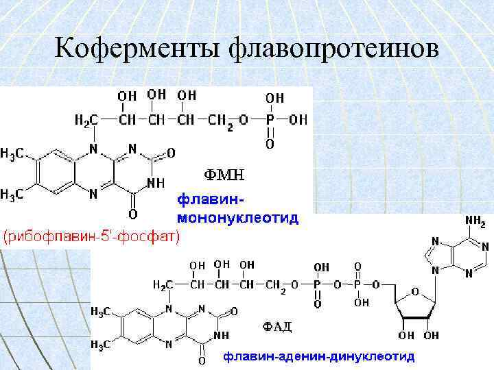 Коферменты флавопротеинов 