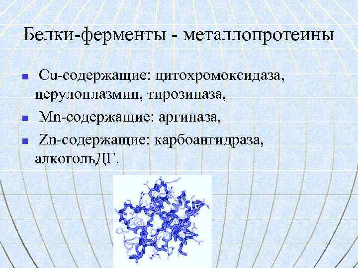Белки-ферменты - металлопротеины n n n Сu-содержащие: цитохромоксидаза, церулоплазмин, тирозиназа, Mn-содержащие: аргиназа, Zn-содержащие: карбоангидраза,