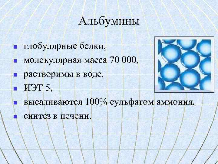 Альбумины n n n глобулярные белки, молекулярная масса 70 000, растворимы в воде, ИЭТ