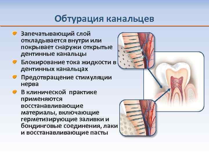 Снаружи покрыто