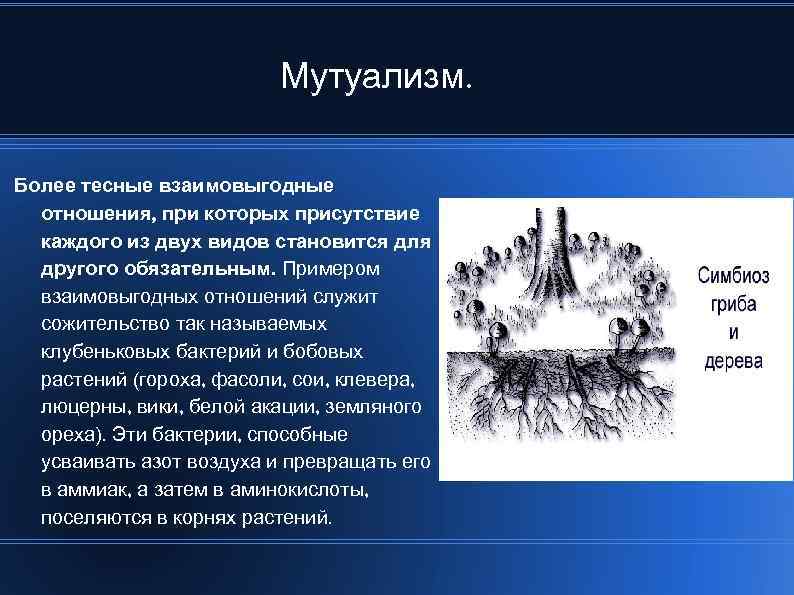 Мутуализм. Более тесные взаимовыгодные отношения, при которых присутствие каждого из двух видов становится для