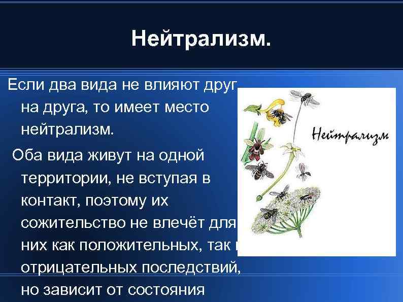 Нейтрализм. Если два вида не влияют друг на друга, то имеет место нейтрализм. Оба