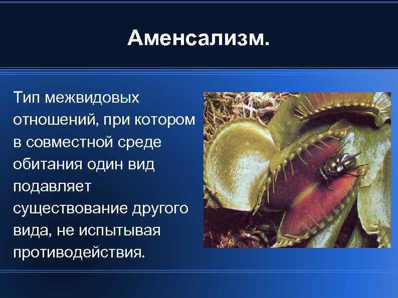 Аменсализм. Тип межвидовых отношений, при котором в совместной среде обитания один вид подавляет существование