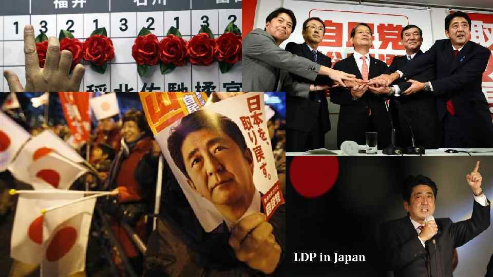 LDP in Japan 