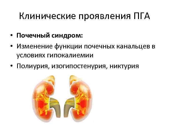 Клинические проявления ПГА • Почечный синдром: • Изменение функции почечных канальцев в условиях гипокалиемии