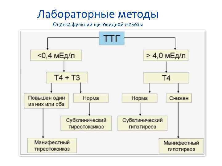 Лабораторные методы Оценка функции щитовидной железы 