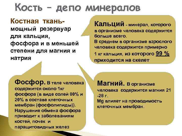 Кость – депо минералов Костная тканьмощный резервуар для кальция, фосфора и в меньшей степени