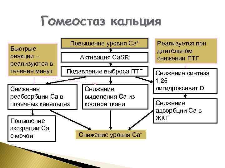 В течении какого срока реализуется проект гчп