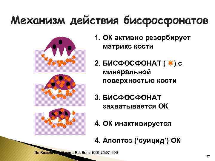 Механизм действия бисфосфонатов 1. ОК активно резорбирует матрикс кости 2. БИСФОСФОНАТ ( ) с