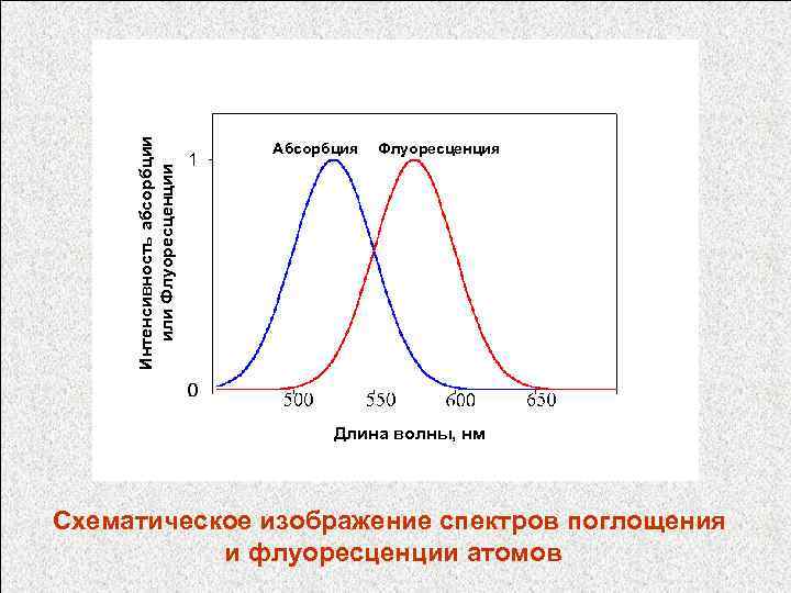 Интенсивность абсорбции или Флуоресценции Абсорбция Флуоресценция Длина волны, нм Схематическое изображение спектров поглощения и