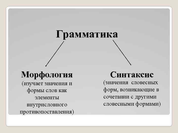 Морфология и синтаксис. Грамматика морфология и синтаксис. Что изучает грамматика. Что изучает грамматика морфология. Грамматика русского языка морфология и синтаксис.