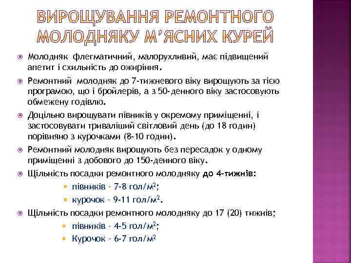  Молодняк флегматичний, малорухливий, має підвищений апетит і схильність до ожиріння. Ремонтний молодняк до