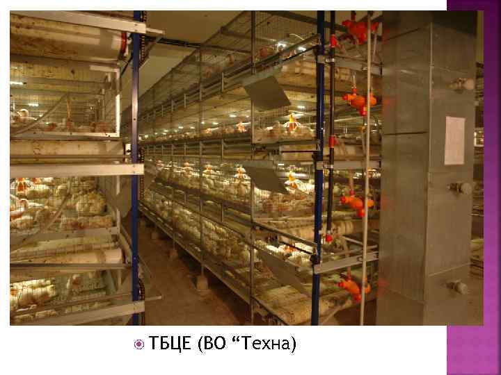  ТБЦЕ (ВО “Техна) 