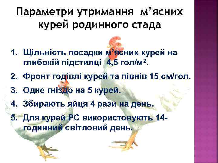 Параметри утримання м’ясних курей родинного стада 1. Щільність посадки м’ясних курей на глибокій підстилці