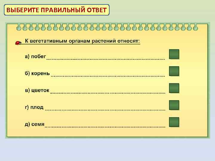 ВЫБЕРИТЕ ПРАВИЛЬНЫЙ ОТВЕТ 