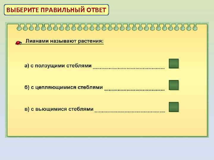 ВЫБЕРИТЕ ПРАВИЛЬНЫЙ ОТВЕТ 