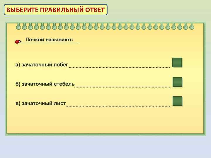 ВЫБЕРИТЕ ПРАВИЛЬНЫЙ ОТВЕТ 