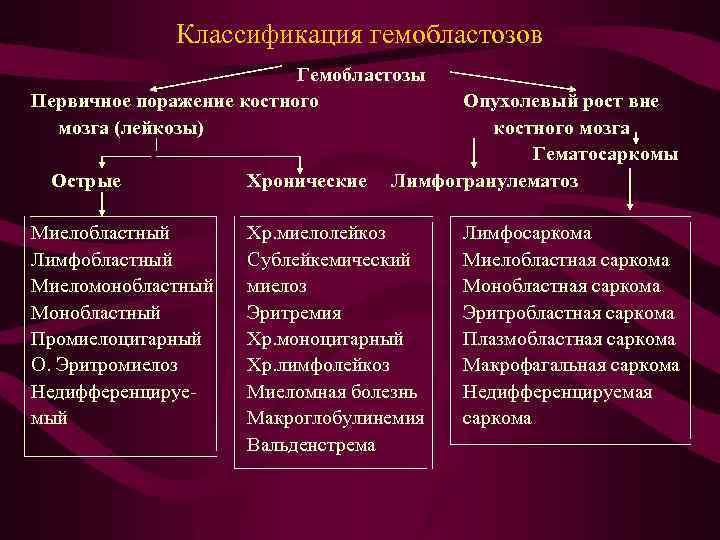 Гемобластозы патологическая анатомия презентация