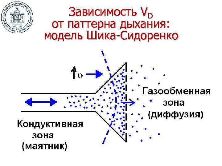 Зависимость VD от паттерна дыхания: модель Шика-Сидоренко 