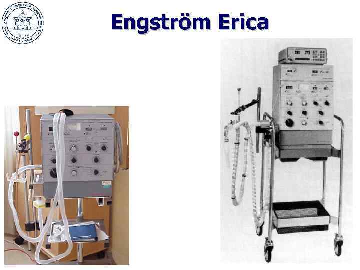 Engström Erica 