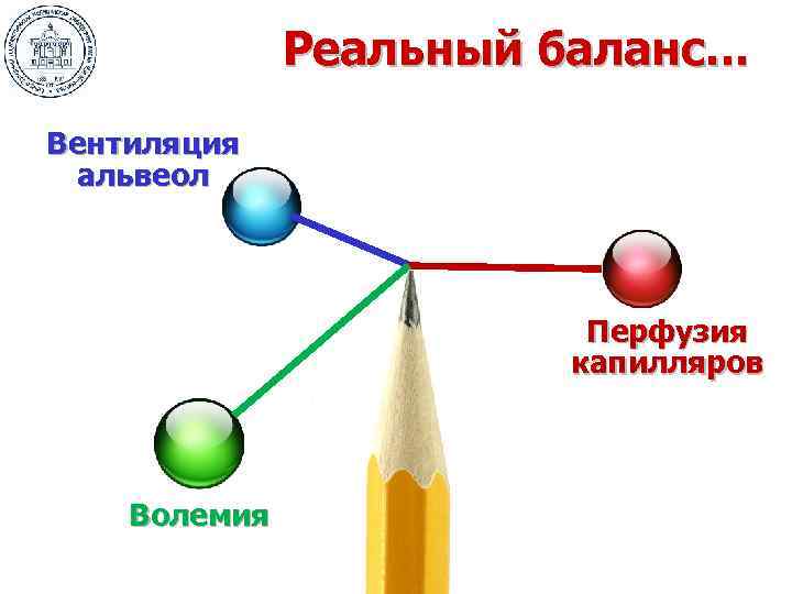 Реальный баланс. . . Вентиляция альвеол Перфузия капилляров Волемия 