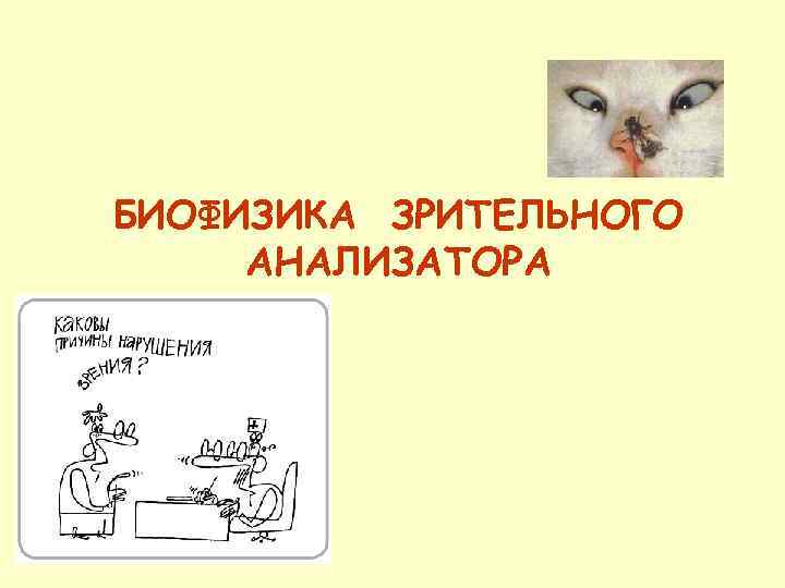 БИОФИЗИКА ЗРИТЕЛЬНОГО АНАЛИЗАТОРА 
