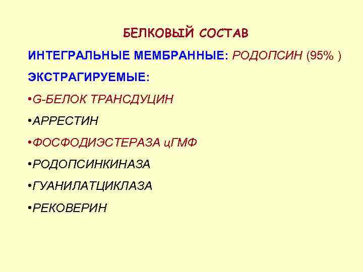 БЕЛКОВЫЙ СОСТАВ ИНТЕГРАЛЬНЫЕ МЕМБРАННЫЕ: РОДОПСИН (95% ) ЭКСТРАГИРУЕМЫЕ: • G-БЕЛОК ТРАНСДУЦИН • АРРЕСТИН •