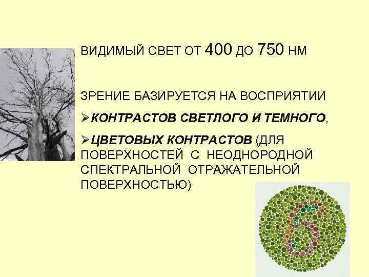 ВИДИМЫЙ СВЕТ ОТ 400 ДО 750 НМ ЗРЕНИЕ БАЗИРУЕТСЯ НА ВОСПРИЯТИИ ØКОНТРАСТОВ СВЕТЛОГО И