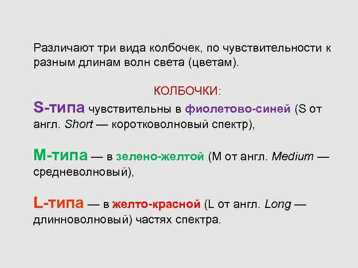 Различают три вида колбочек, по чувствительности к разным длинам волн света (цветам). КОЛБОЧКИ: S-типа