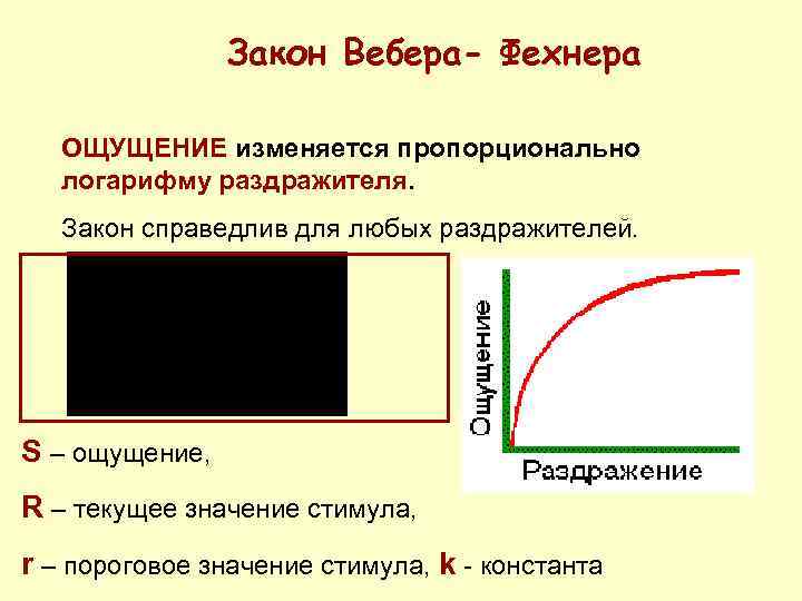 Изменяется пропорционально