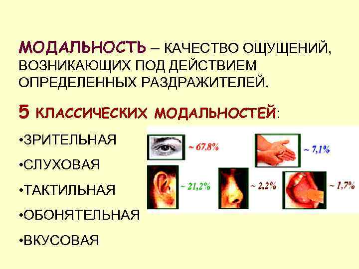 Не возникало ощущение. Аудиальная модальность. Модальности восприятия. Укажите модальности Брионии. Зрительная модальность это.