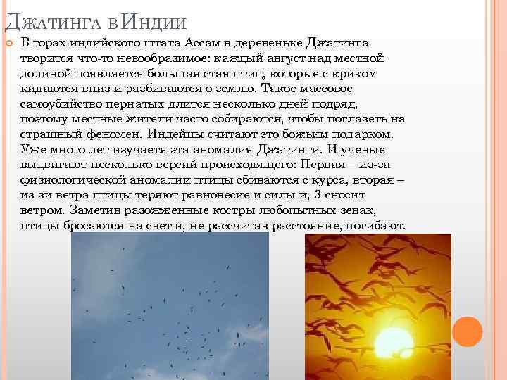 ДЖАТИНГА В ИНДИИ В горах индийского штата Ассам в деревеньке Джатинга творится что-то невообразимое:
