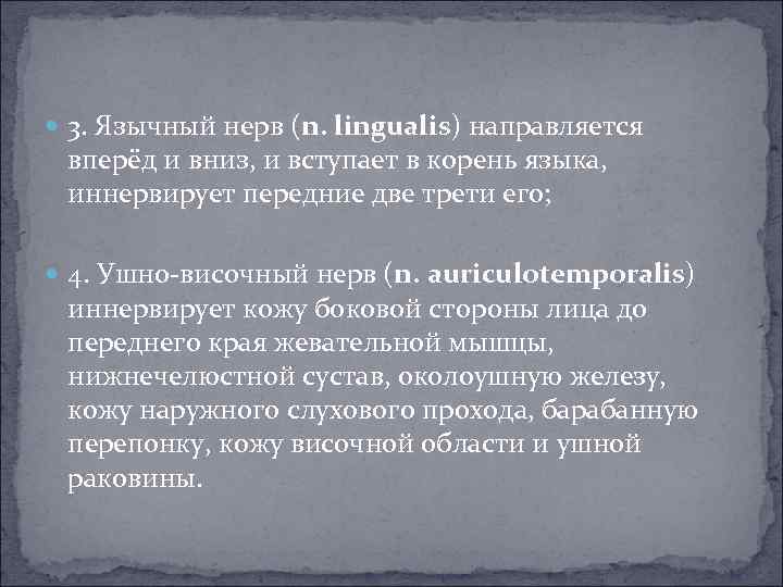  3. Язычный нерв (n. lingualis) направляется вперёд и вниз, и вступает в корень