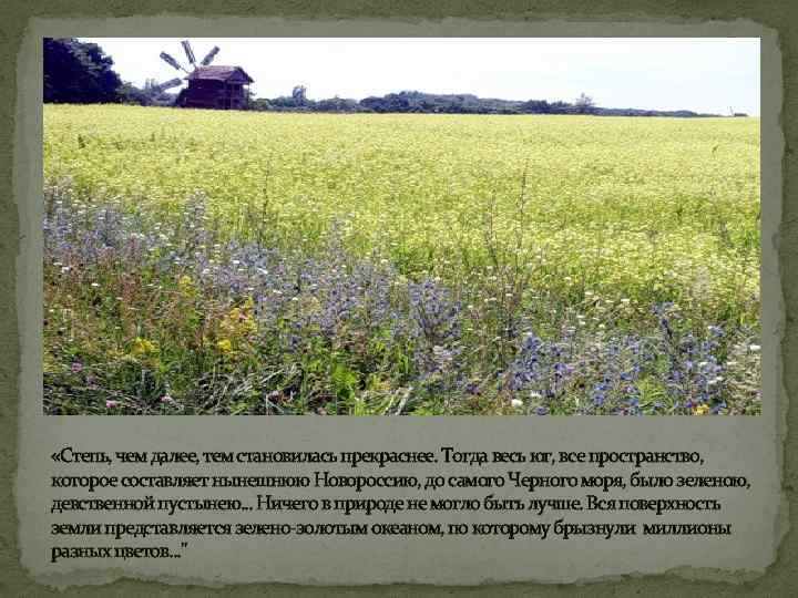  «Степь, чем далее, тем становилась прекраснее. Тогда весь юг, все пространство, которое составляет