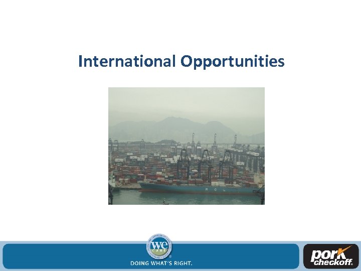 International Opportunities 