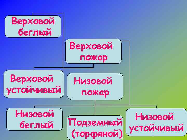 Верховой беглый Верховой пожар Верховой устойчивый Низовой беглый Низовой пожар Низовой Подземный устойчивый (торфяной)