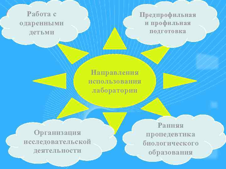 Работа с одаренными детьми Предпрофильная и профильная подготовка Направления использования лаборатории Организация исследовательской деятельности