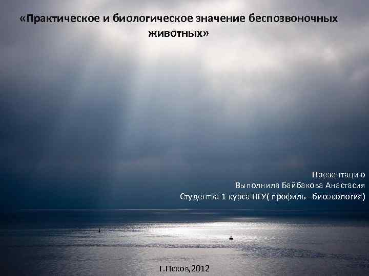  «Практическое и биологическое значение беспозвоночных животных» Презентацию Выполнила Байбакова Анастасия Студентка 1 курса