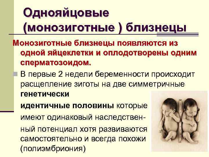 Однояйцовые (монозиготные ) близнецы Монозиготные близнецы появляются из одной яйцеклетки и оплодотворены одним сперматозоидом.