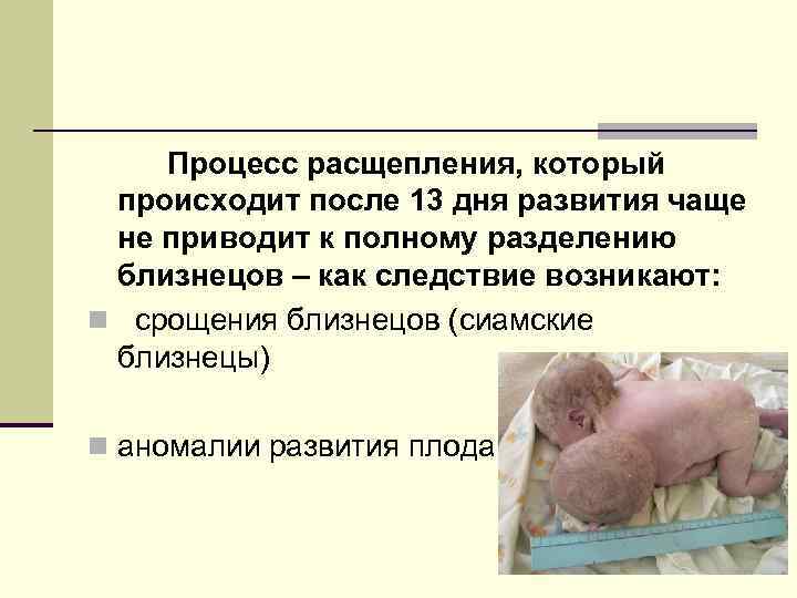 Процесс расщепления, который происходит после 13 дня развития чаще не приводит к полному разделению