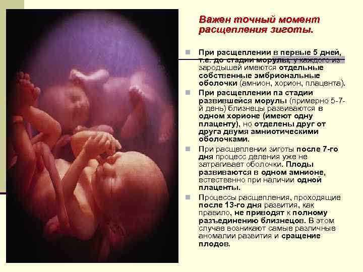 Многоплодная беременность по утвержденным клиническим рекомендациям. Многоплодная беременность. Течение многоплодной беременности. Многоплодная беременность клинические рекомендации. Осложнения многоплодной беременности.