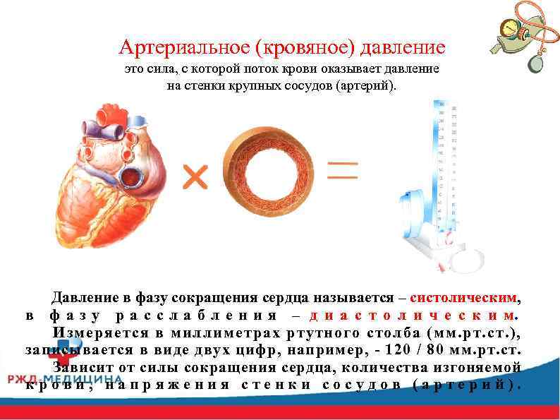 Артериальное (кровяное) давление это сила, с которой поток крови оказывает давление на стенки крупных