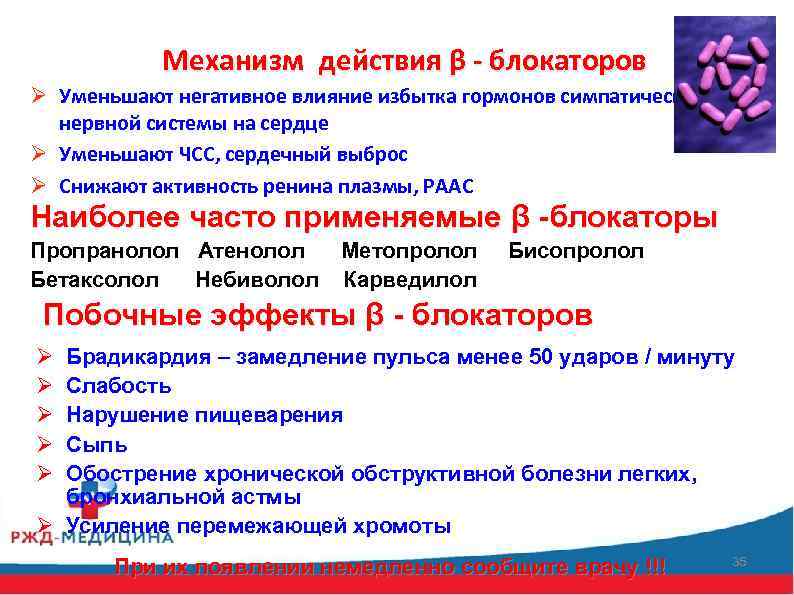 Механизм действия β - блокаторов Ø Уменьшают негативное влияние избытка гормонов симпатической нервной системы